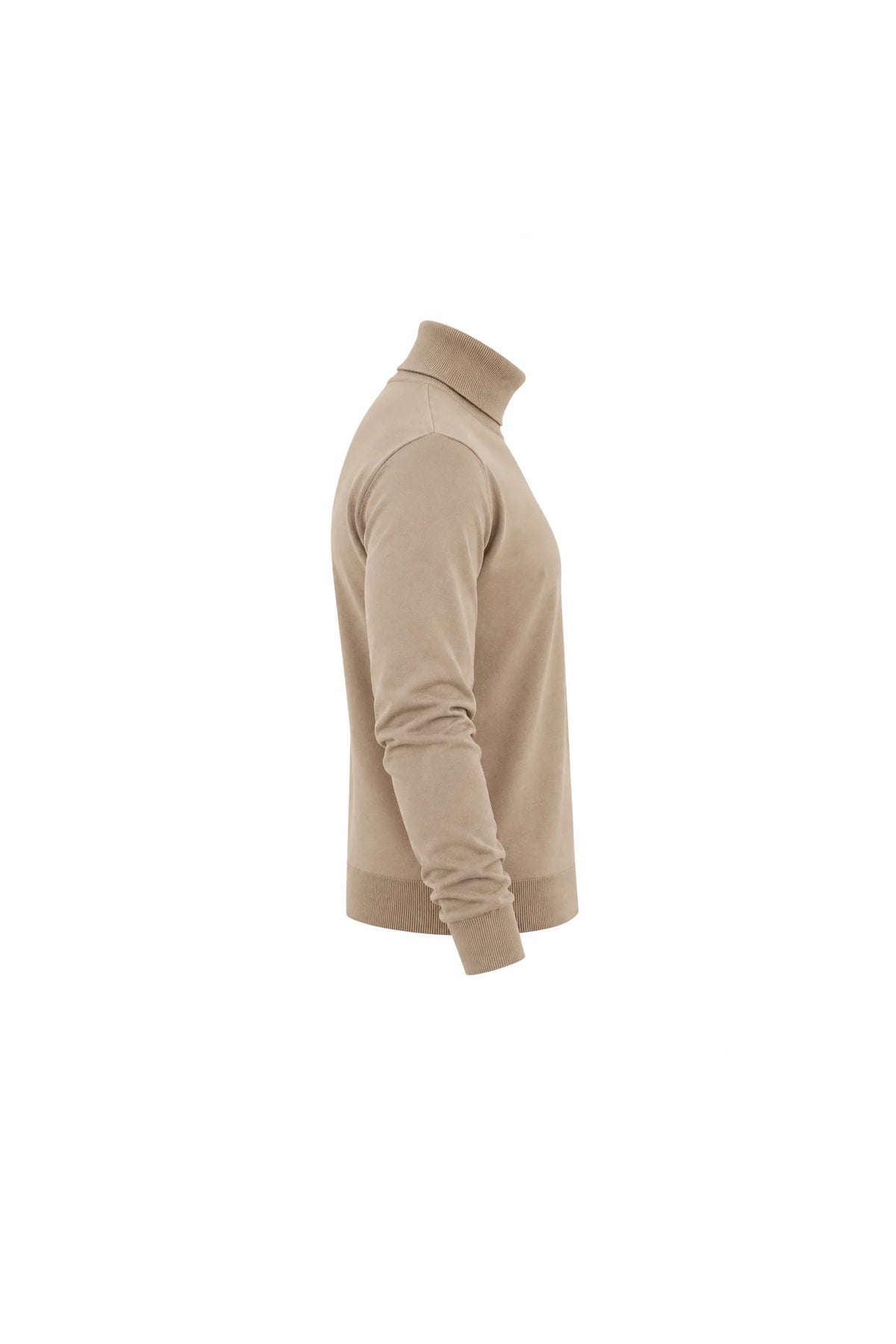 Rrollke classic roll neck
