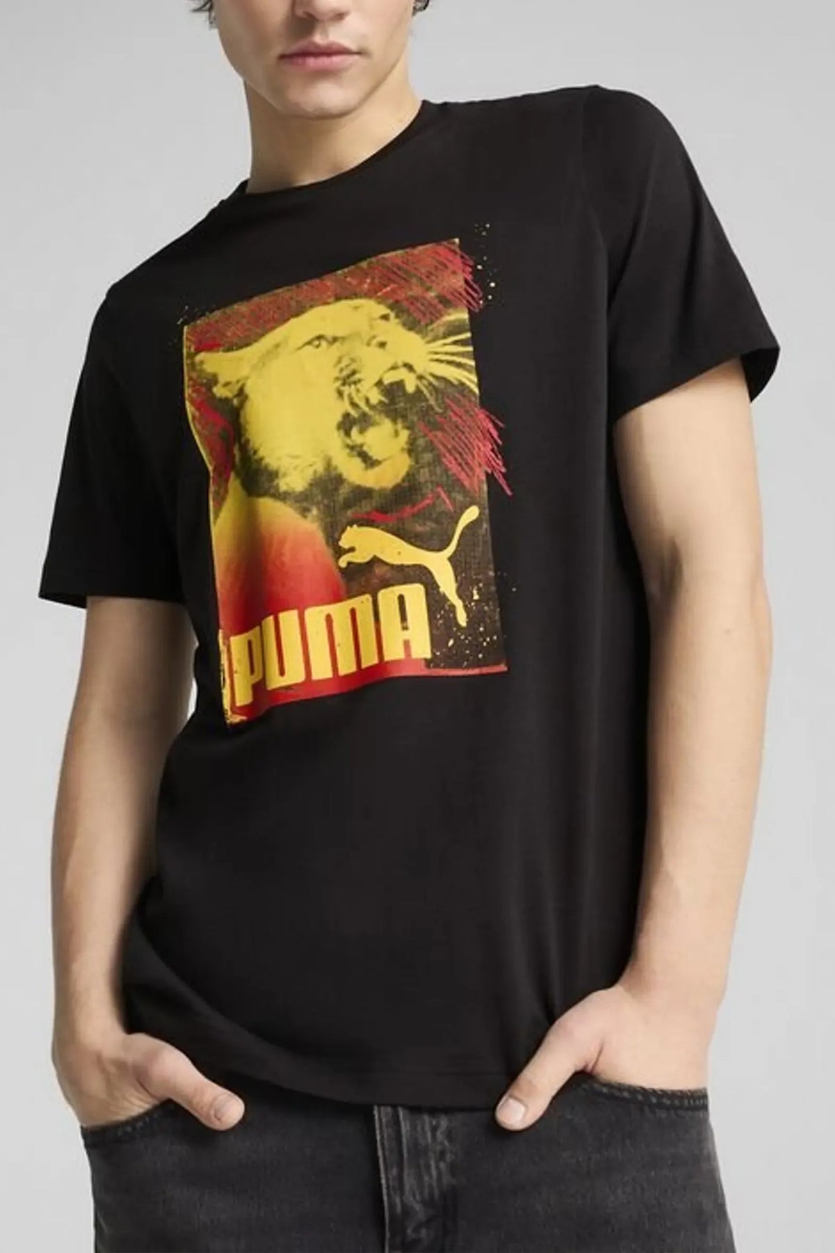 Maice puma graphics- print 684836-01