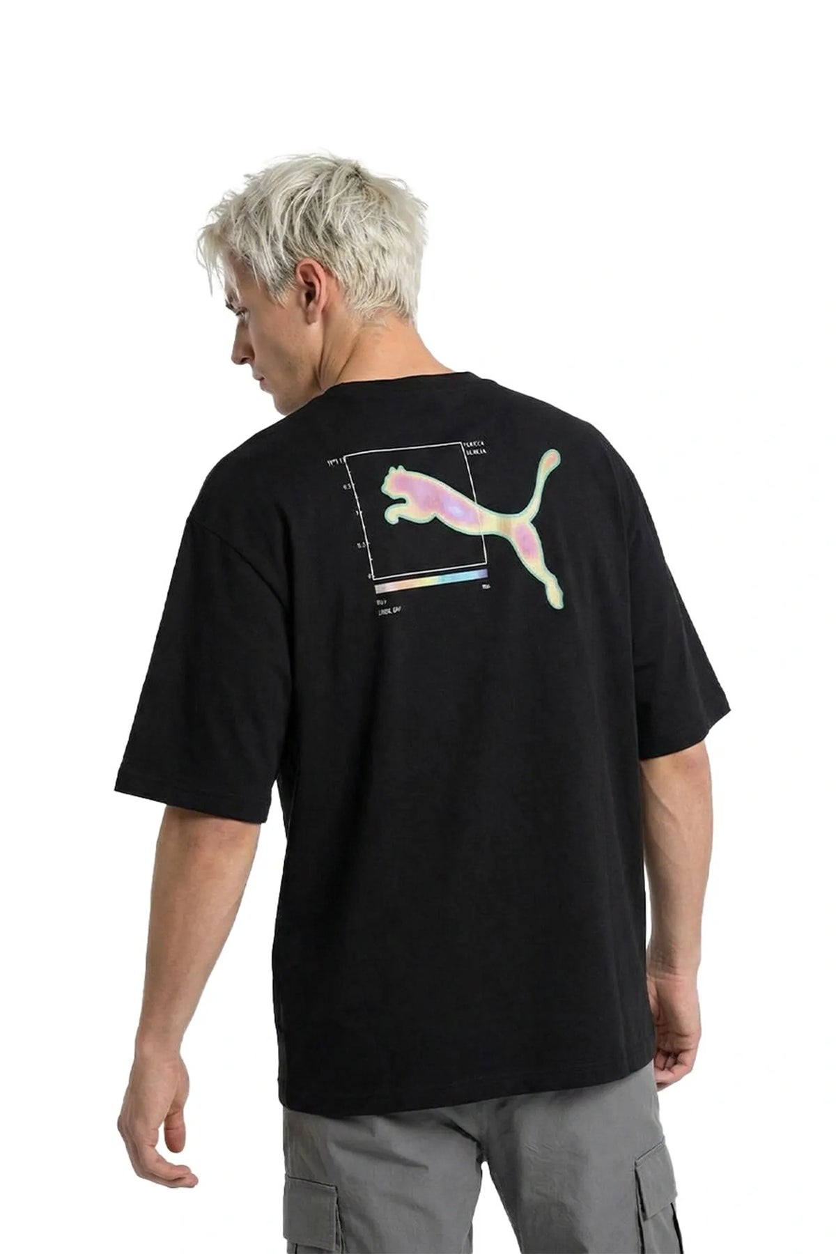 Maice puma graphic tee 691783-01
