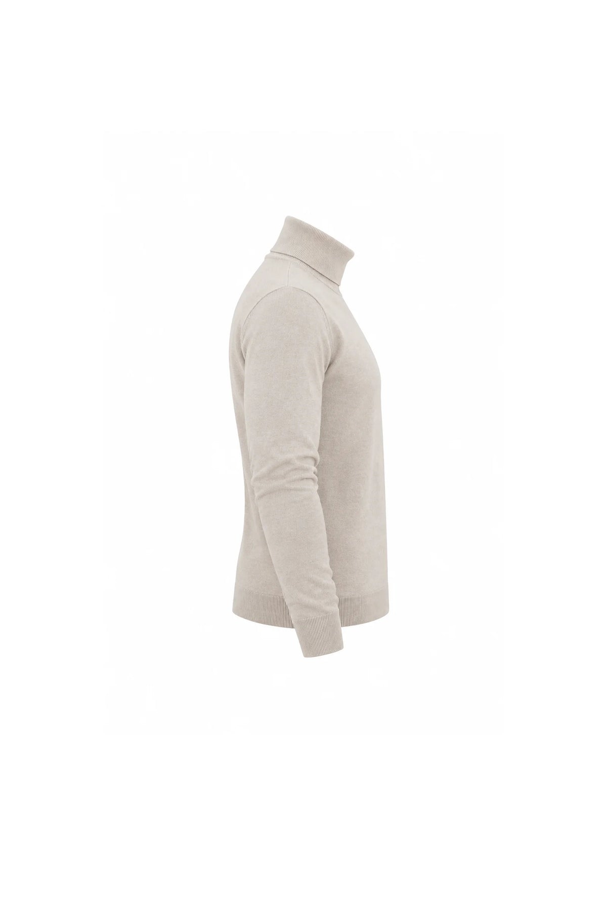 Rrollke classic roll neck