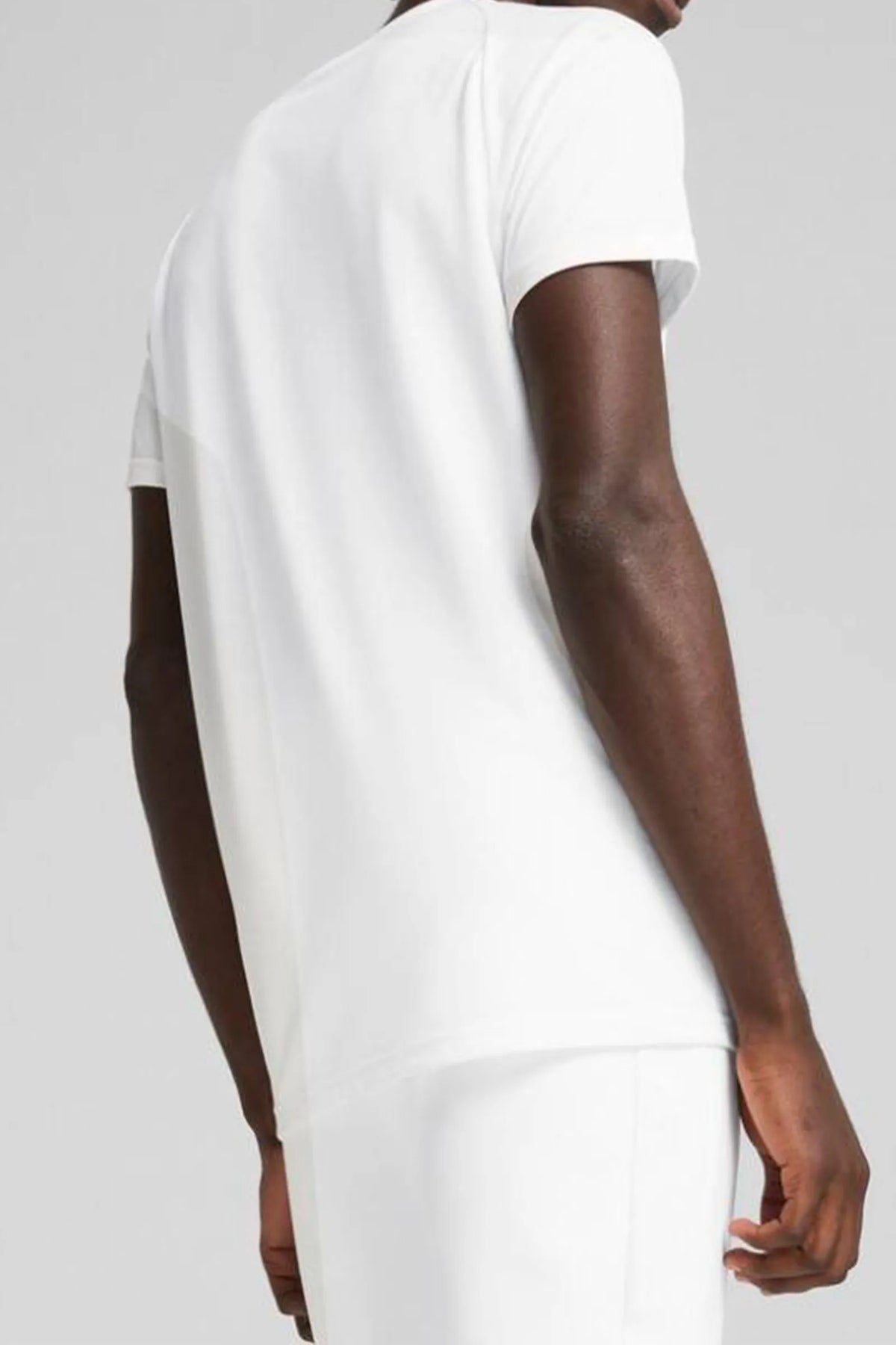 Maice puma evostripe tee men 688229-02