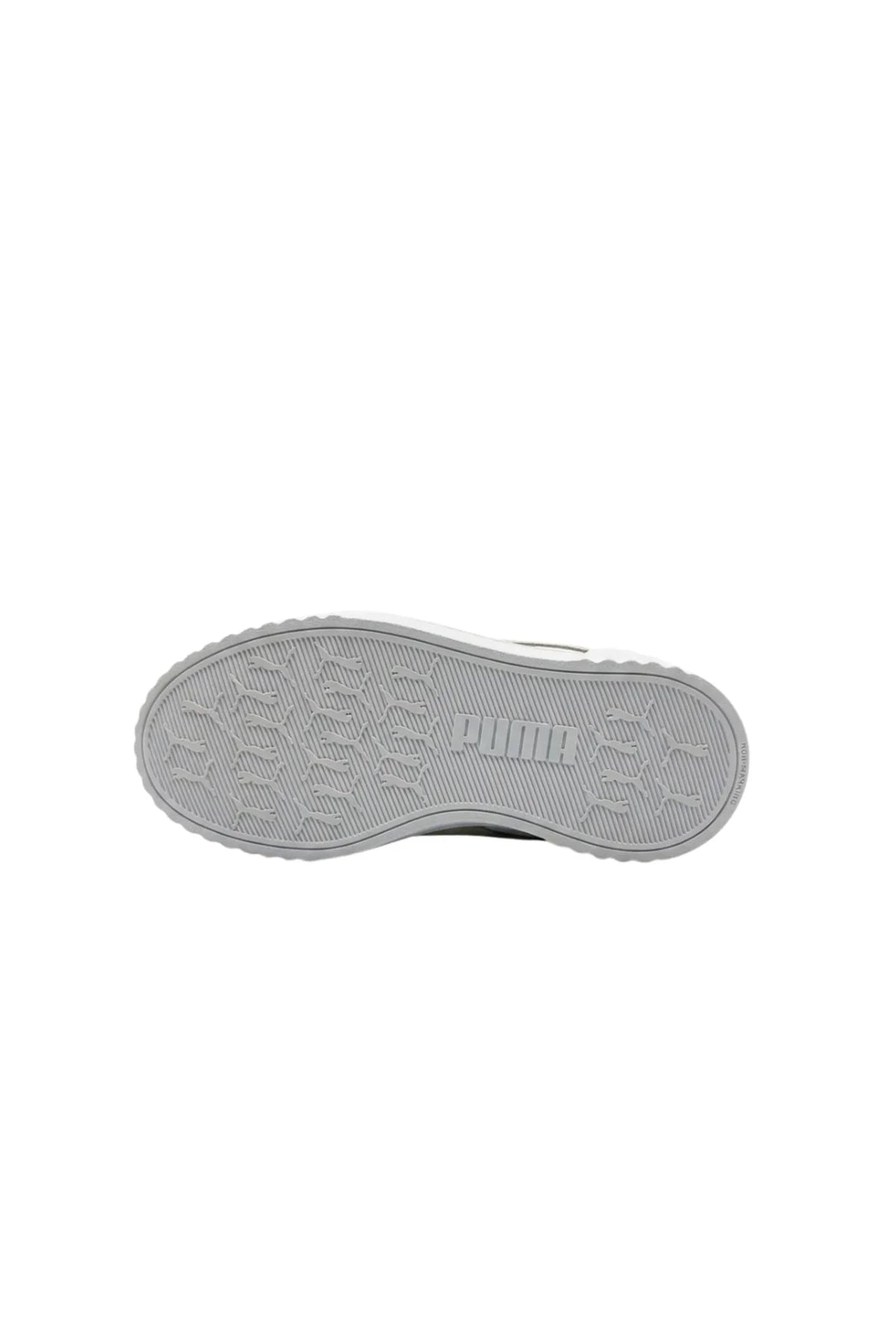 Puma carina 3.0 winter safari PS 408379-01