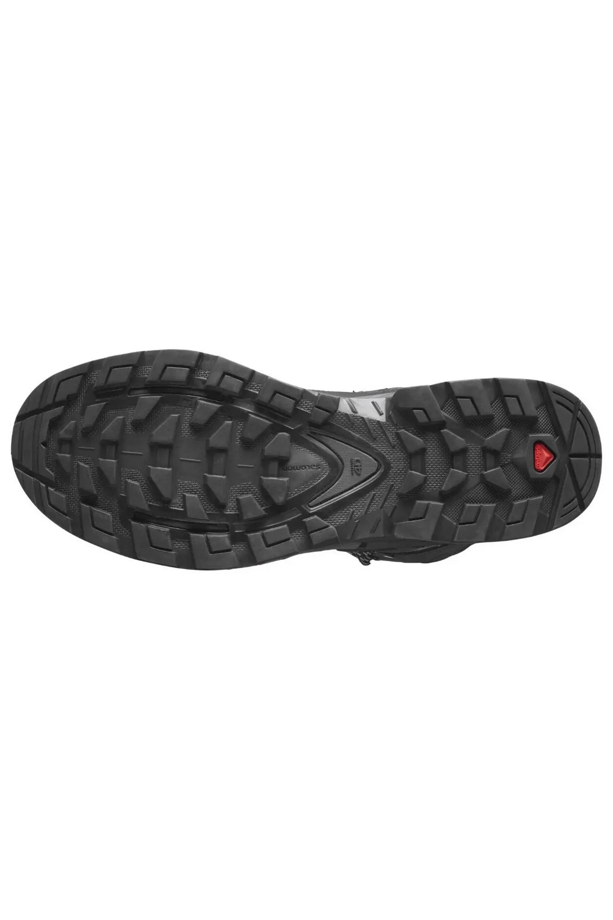 Salmon Quest 4 boots gtx L41292600
