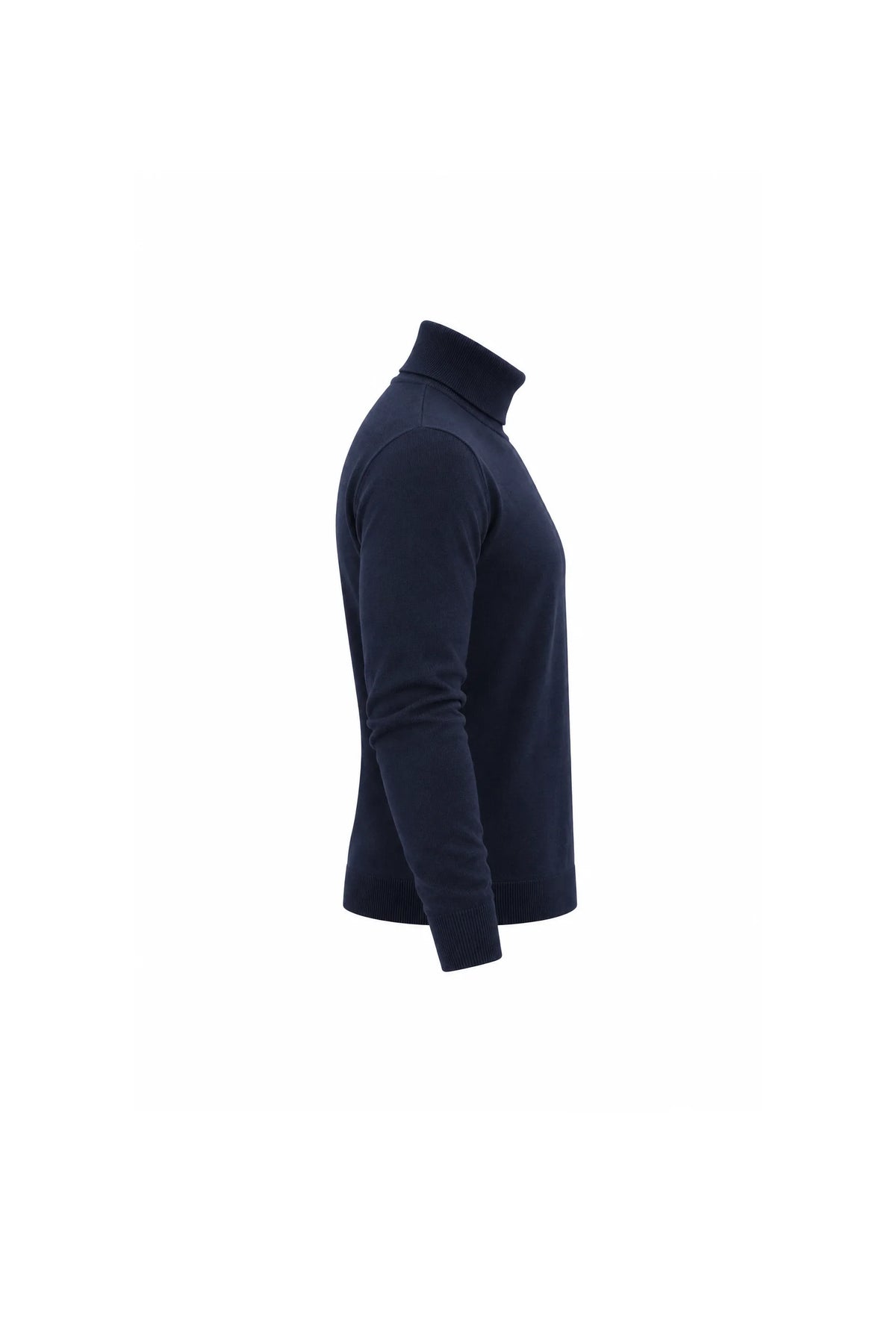 Rrollke classic roll neck