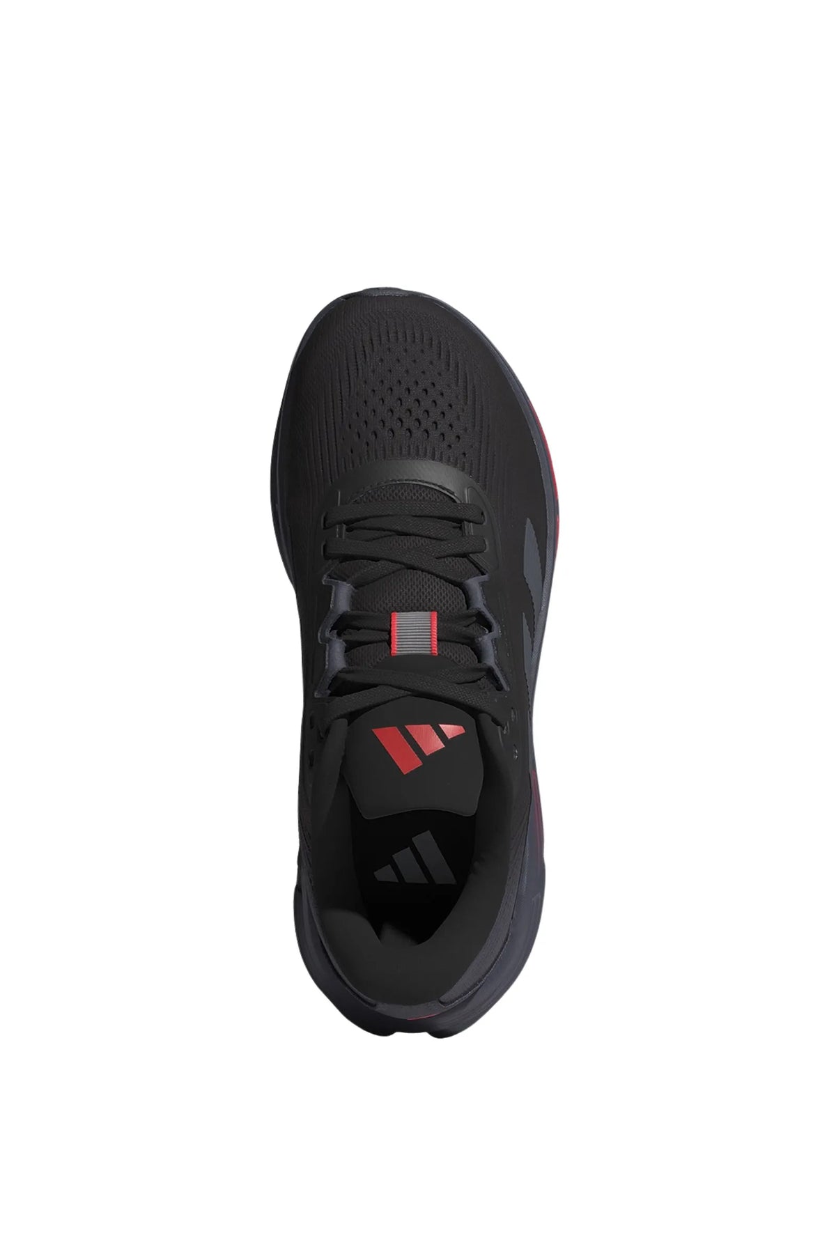 Adidas questar 3 M JP6604